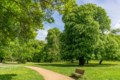 Investir et défiscaliser dans un programme immobilier neuf éligible loi PINEL ou loi PINEL PLUS à proximité du Parc de Parilly à Vénissieux, dans l'Est lyonnais